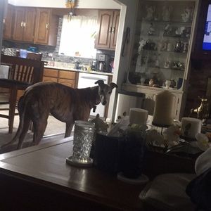 Meet your Posher, Clyde